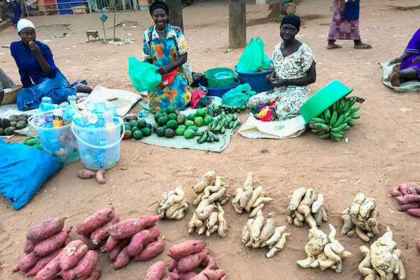 女性たちが市場のスペースに座り、笑顔で紫と白のサツマイモを販売している