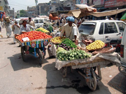 ラワルピンディの市場で野菜を売る男性