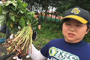 少年が手にする芋の苗は小学生程の少年の顔より大きい。