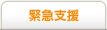緊急支援
