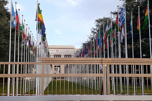 加盟国の国旗が立ち並ぶ奥に国連欧州本部の建物が見える