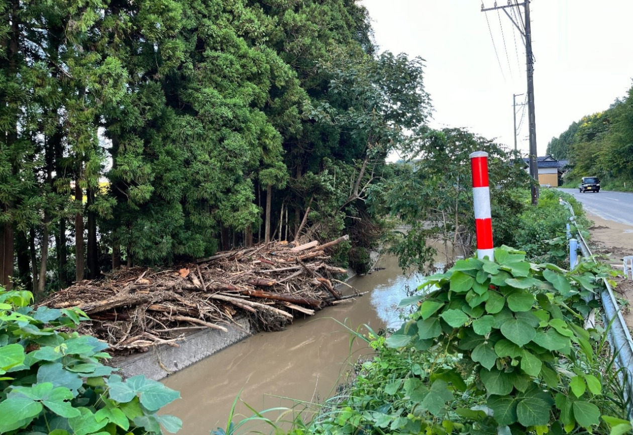 A river with a large amount of driftwood