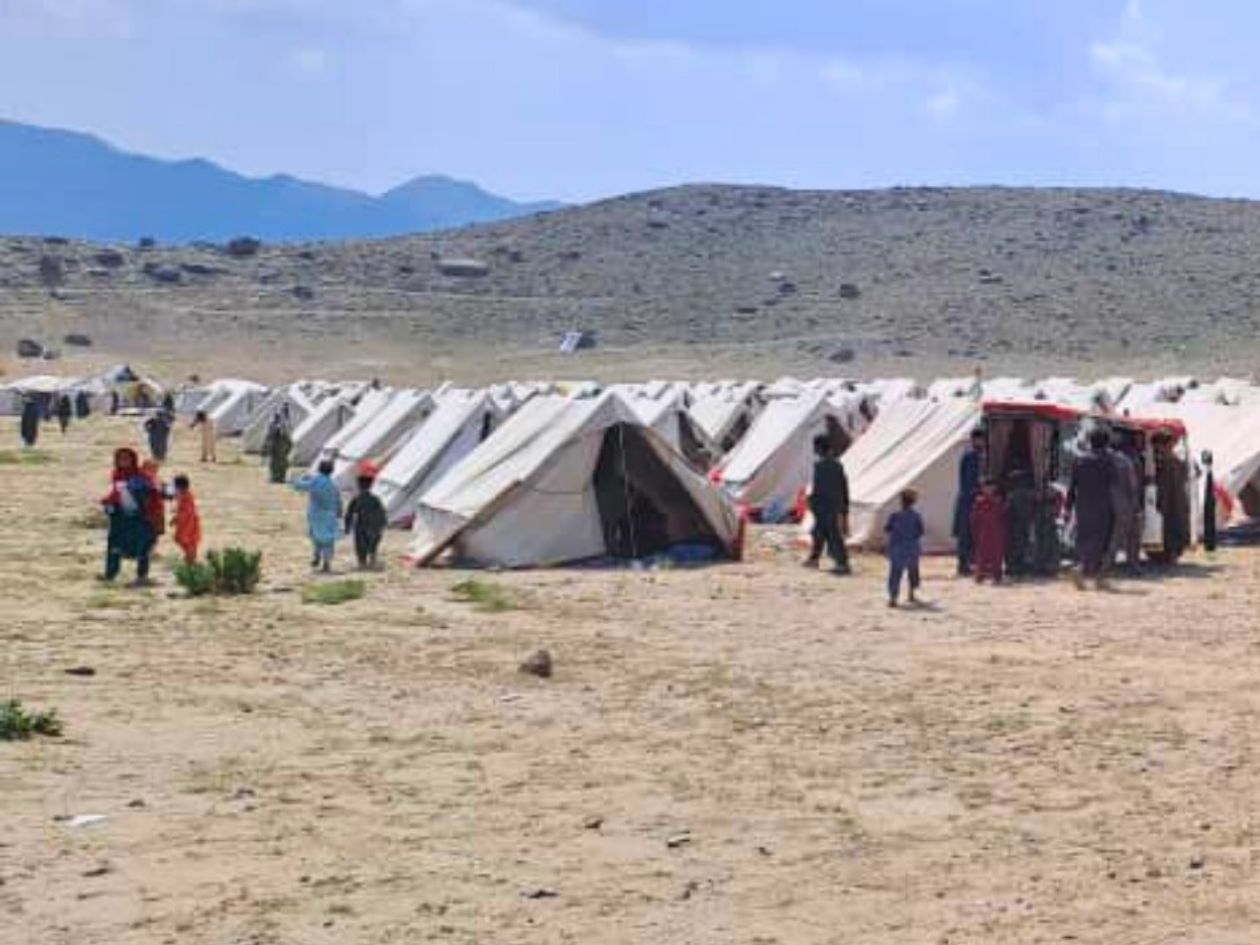 White tents stand in rows across the wide field