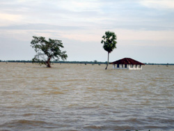 スリランカ洪水により水没した木々や家
