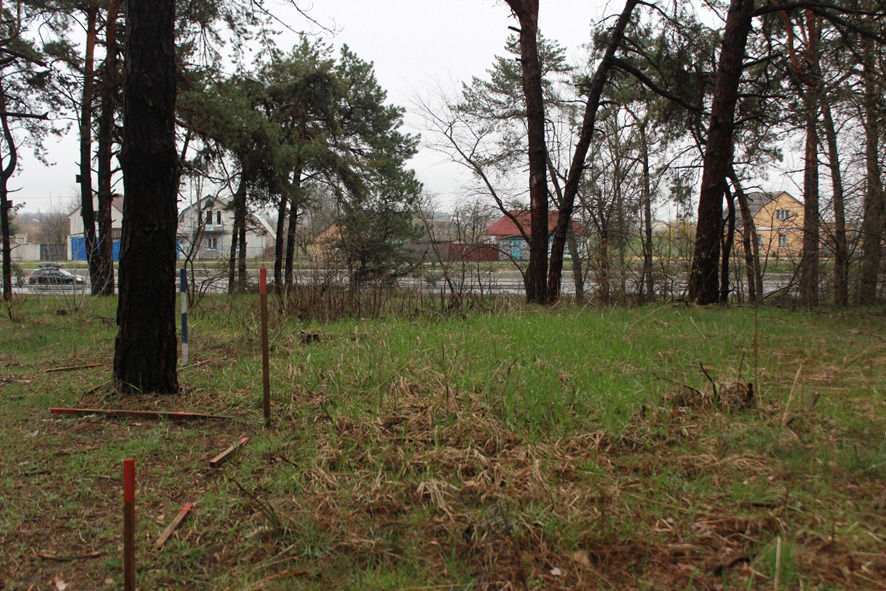 ザリーシャ村にある地雷原のすぐ向こうに幹線道路と住宅が見えている写真