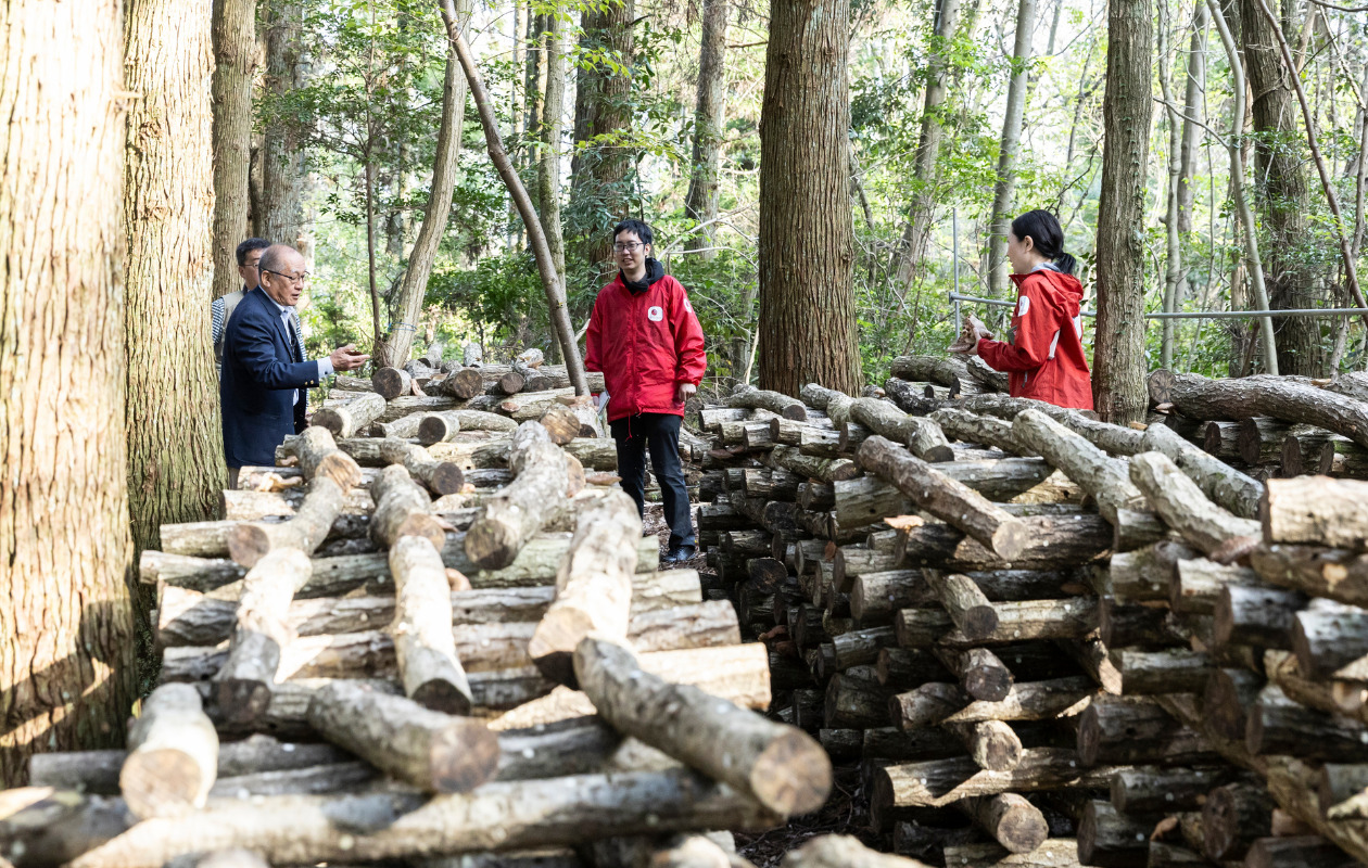 林の中にあるシイタケ栽培用の原木について説明する本田さん