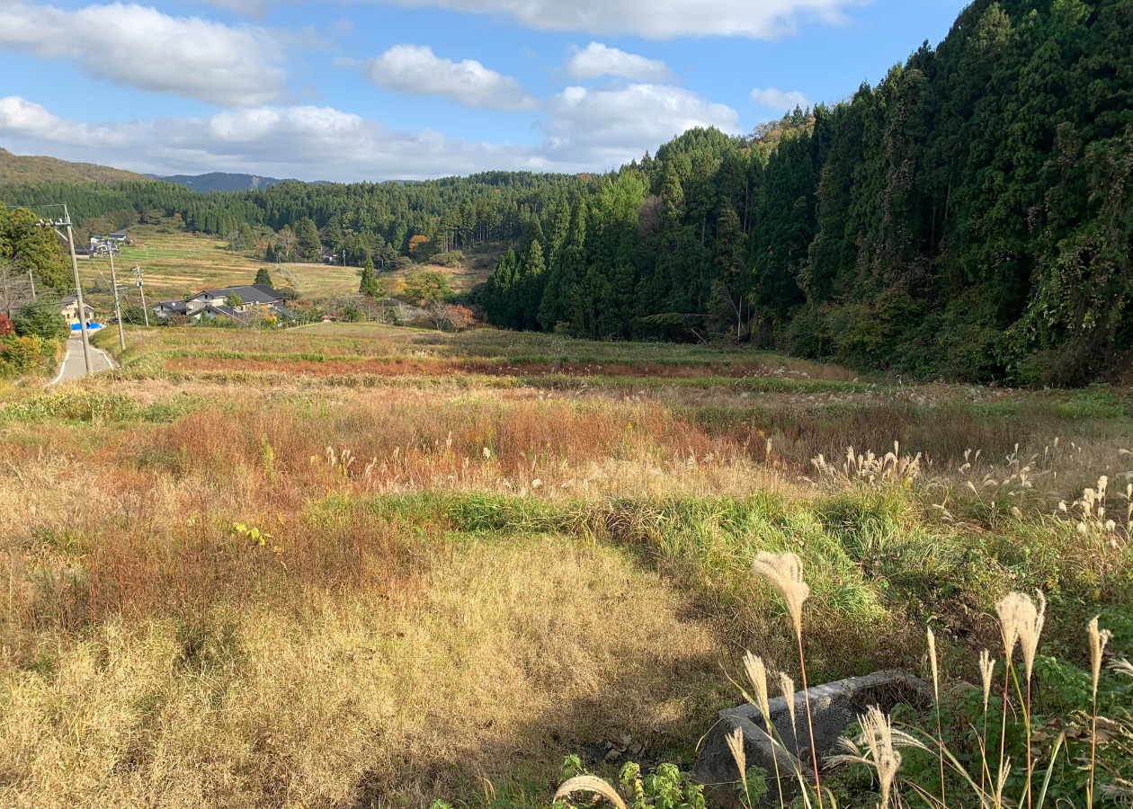 棚田の写真